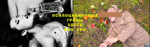 круглые Гусев