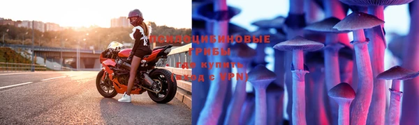 Альфа ПВП Гусиноозёрск