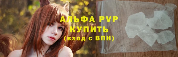 круглые Гусев