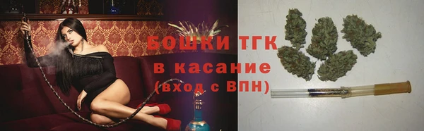 круглые Гусев