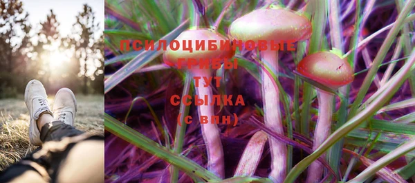 Альфа ПВП Гусиноозёрск