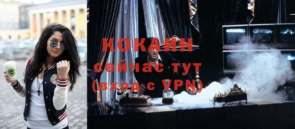 круглые Гусев