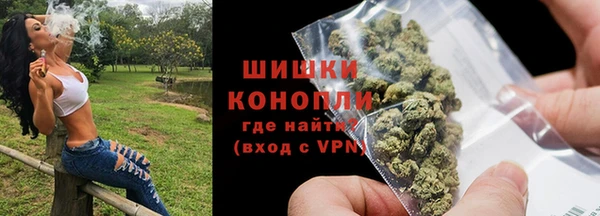 круглые Гусев