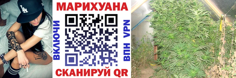Марихуана семена  hydra зеркало  Разумное  наркошоп 